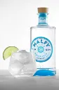 Malfy Gin from Italy (1).webp